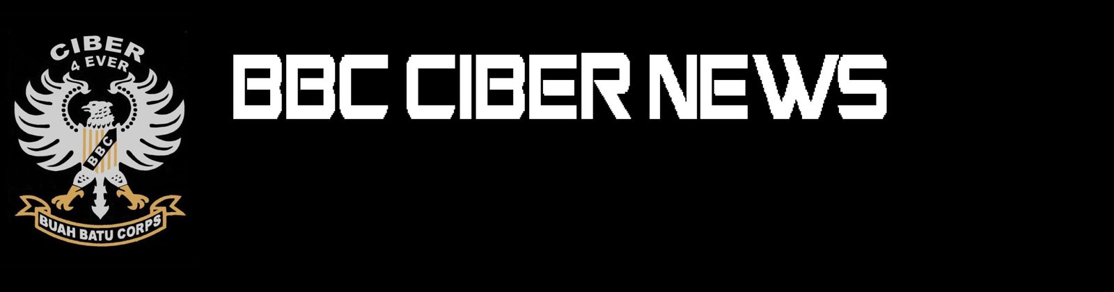 bbccibernews.site